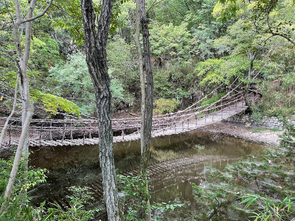 Vine bridge built over a stream