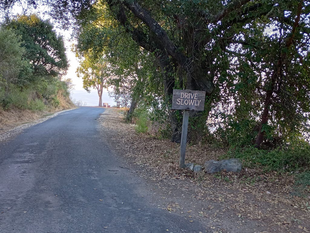 A wooden sign on a post says “Drive Slowly” at the curve in a road bounded on each side by tall trees.
