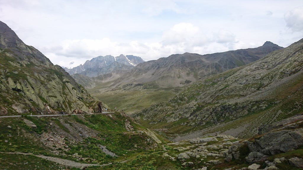 Rolling fields of alpine herbs and a hairpinned road