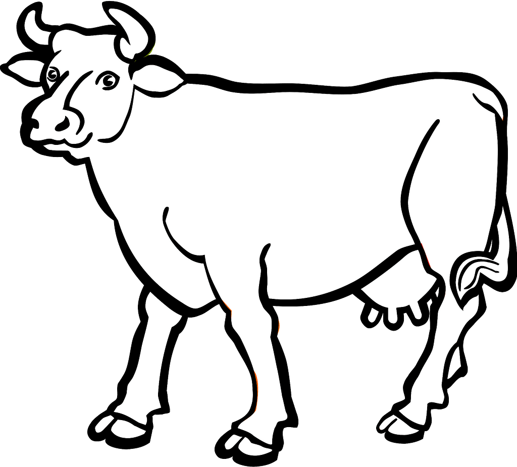 Cow image