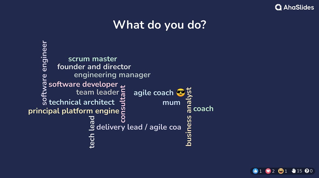 What do you do? agile coach, coach, business analyst, mum, delivery lead/agile coach, scrum master, founder and director, engineering manager, software developer, team leader, technical architect, principle platform engineer, software engineer, tech lead