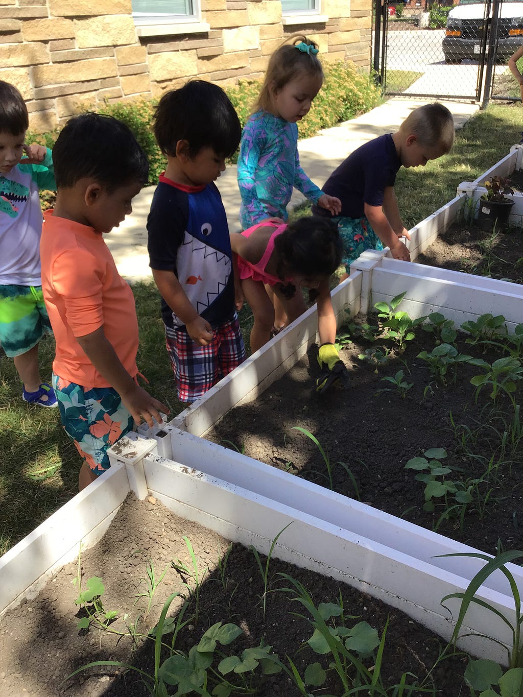 children gardening in preschool