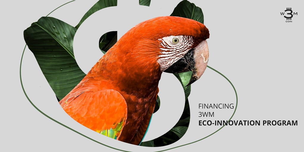 Financing the 3WM Eco-Innovation Program