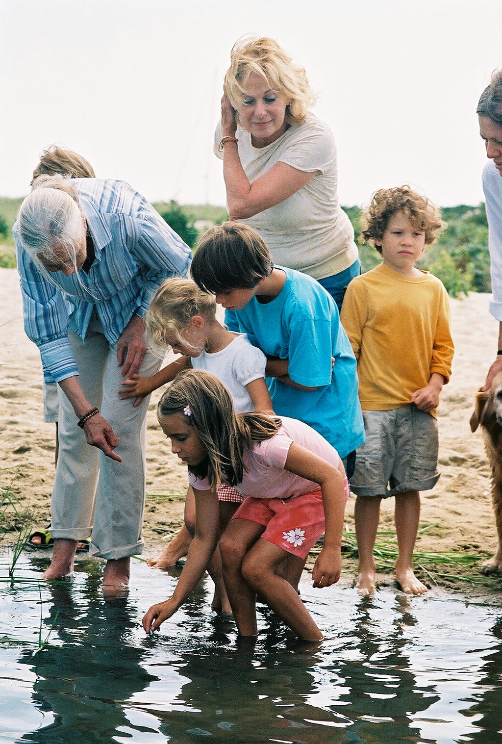 Jane points at something in the sand on a beach, accompanied by four curious children.