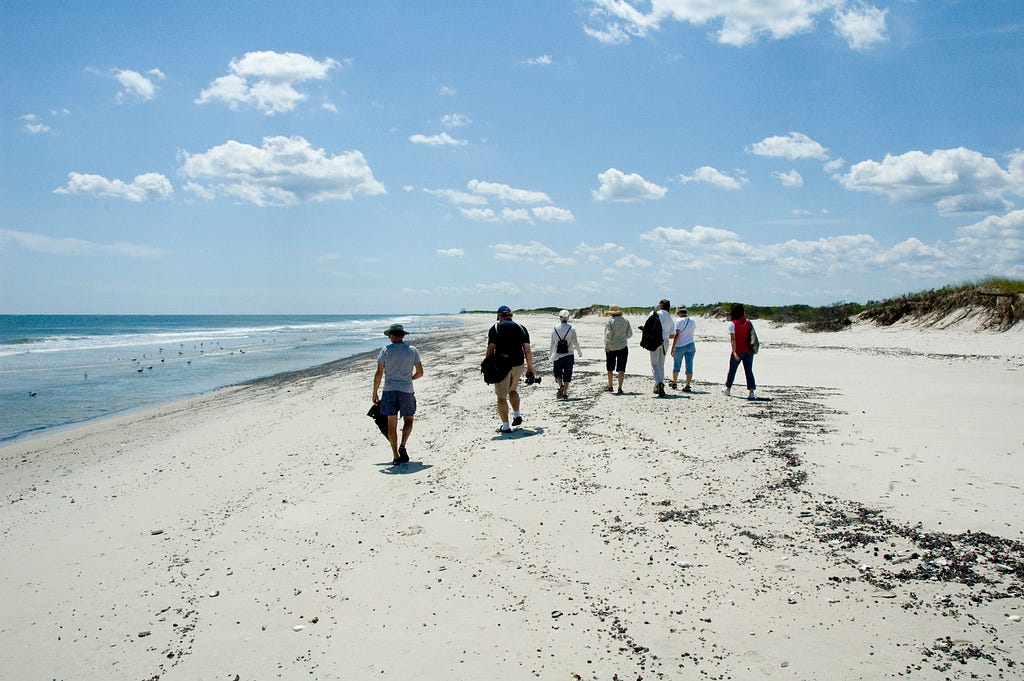 seven people walk along a beach on a clear day with a blue sky and scattered clouds. Shorebirds stand in shallow water to the left.