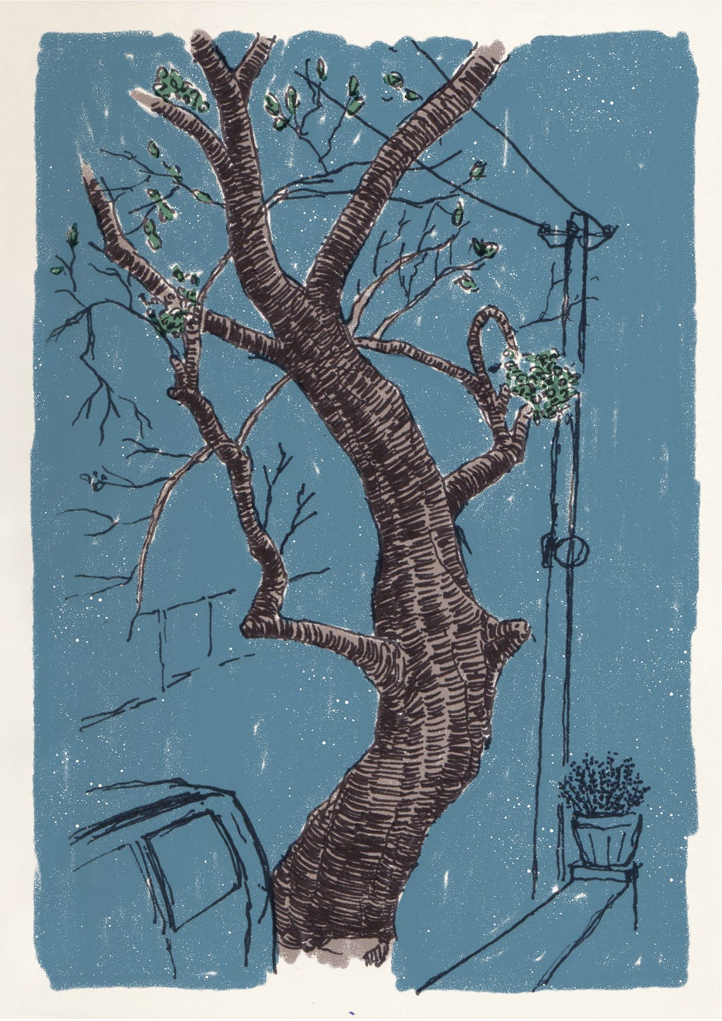 Illustration of a tree that stands outside my house. Its trunk is slightly twisted and it looks dry now in winter. The back of a car is visible in the frame on the left and an electric pole on the right.