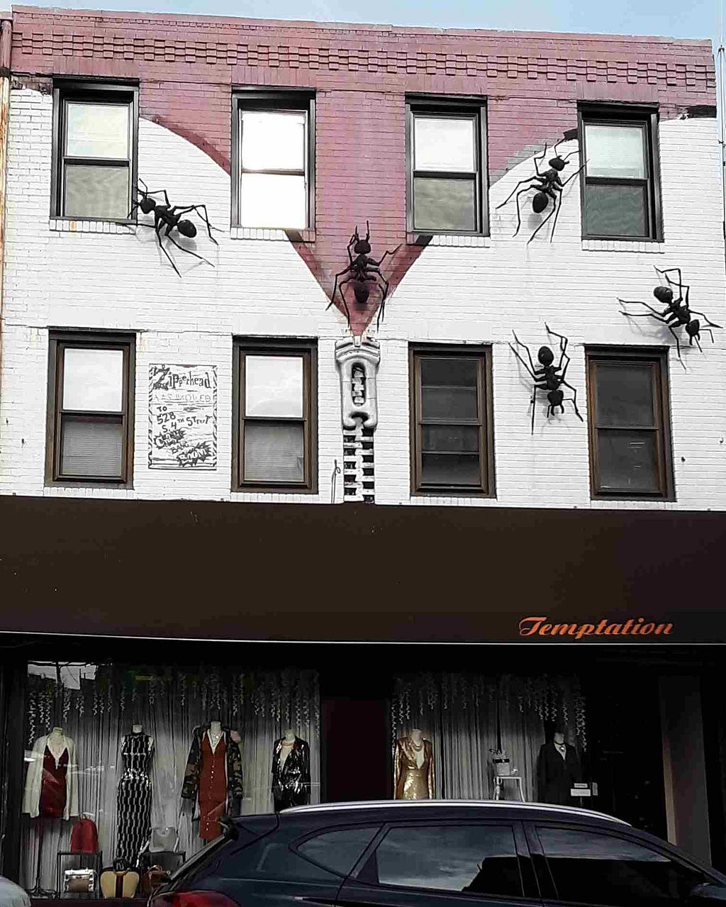A building with a clothing store on the first floor and giant plastic ants crawling up the wall above it. The bricks are painted to look like an open zipper.