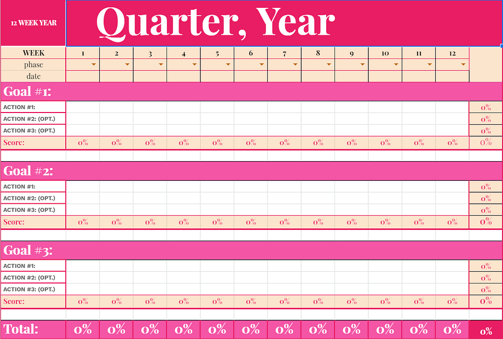 Visualization of my excel 12 Week Year Planning Template
