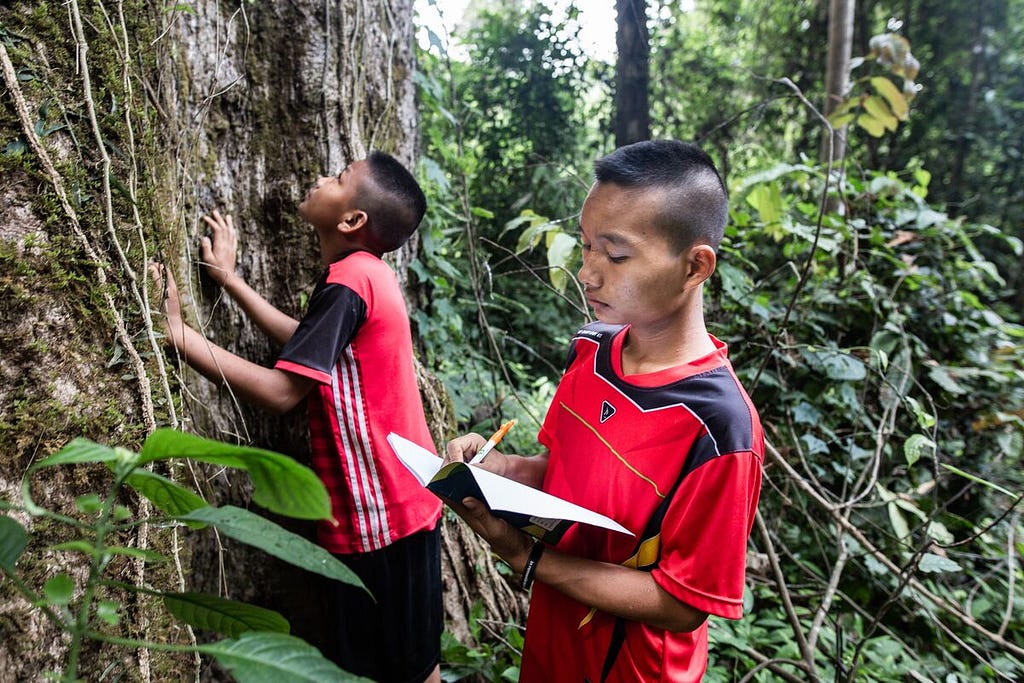 Naphat (front) is recording what he is observing about the tree by writing in a notebook. Arthit (back) is observing the tree in the forest during their practice of maintaining forests.