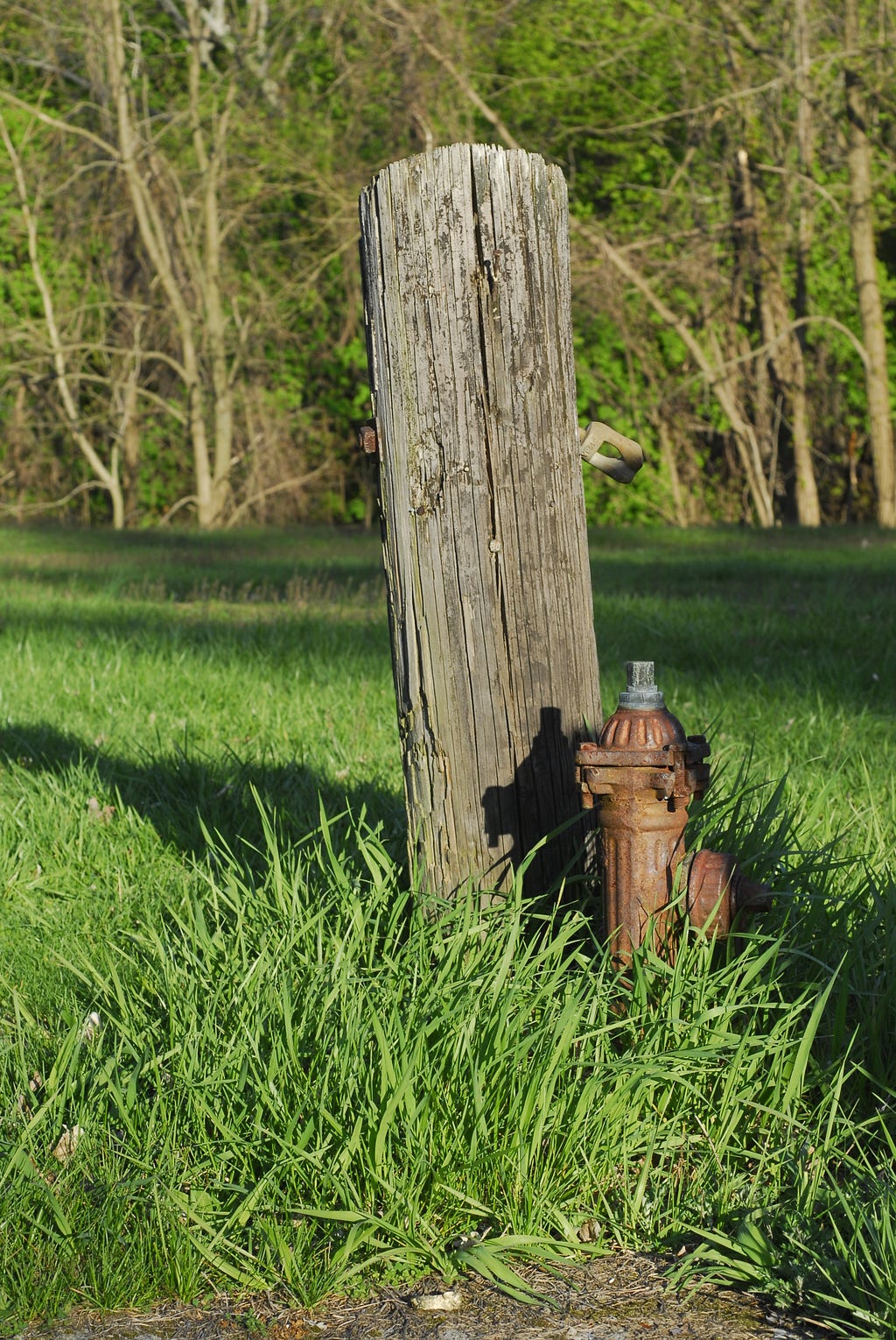 Small fire hydrant next to a post in a field