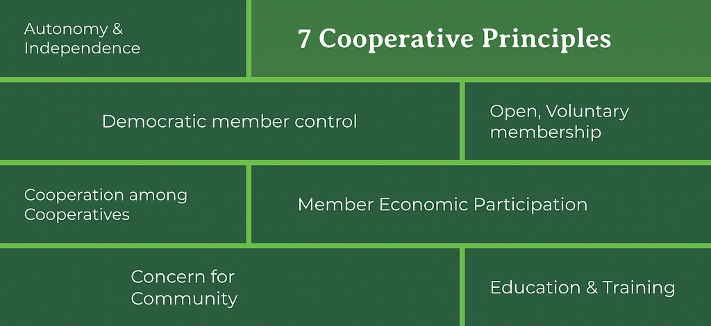 7 Cooperative Principles