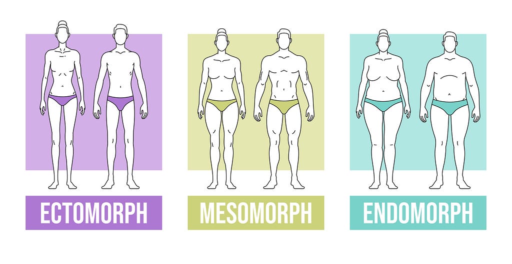 Somatotypes Hard Gainer, Muscular Build, People with more fat cells than others