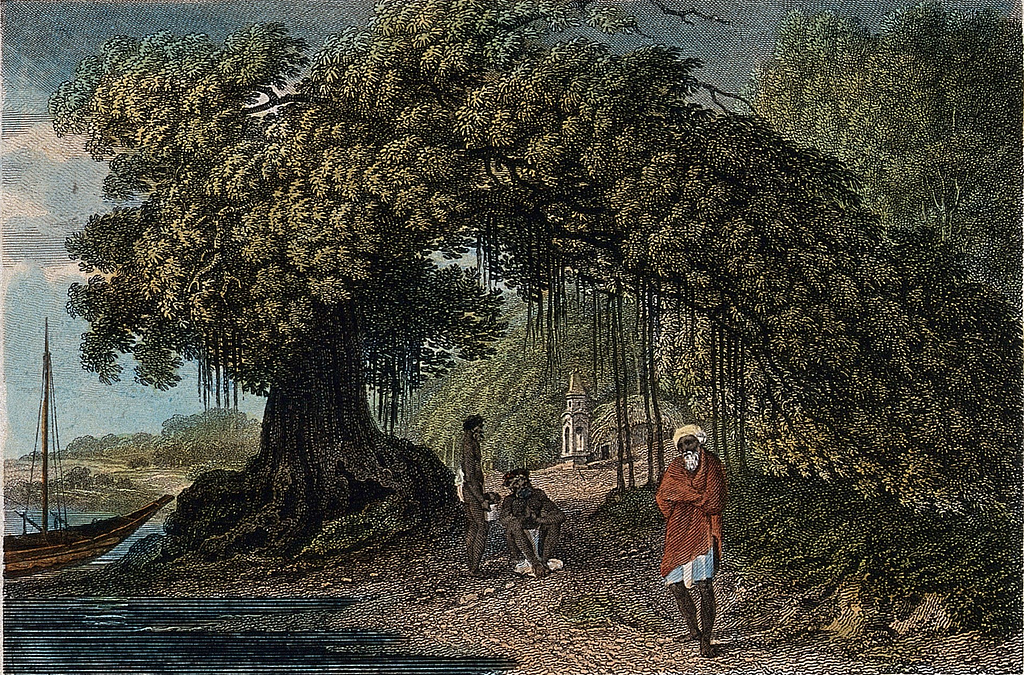 Water colour painting of a tress near a river. 2 people in its shade, another person walking away.