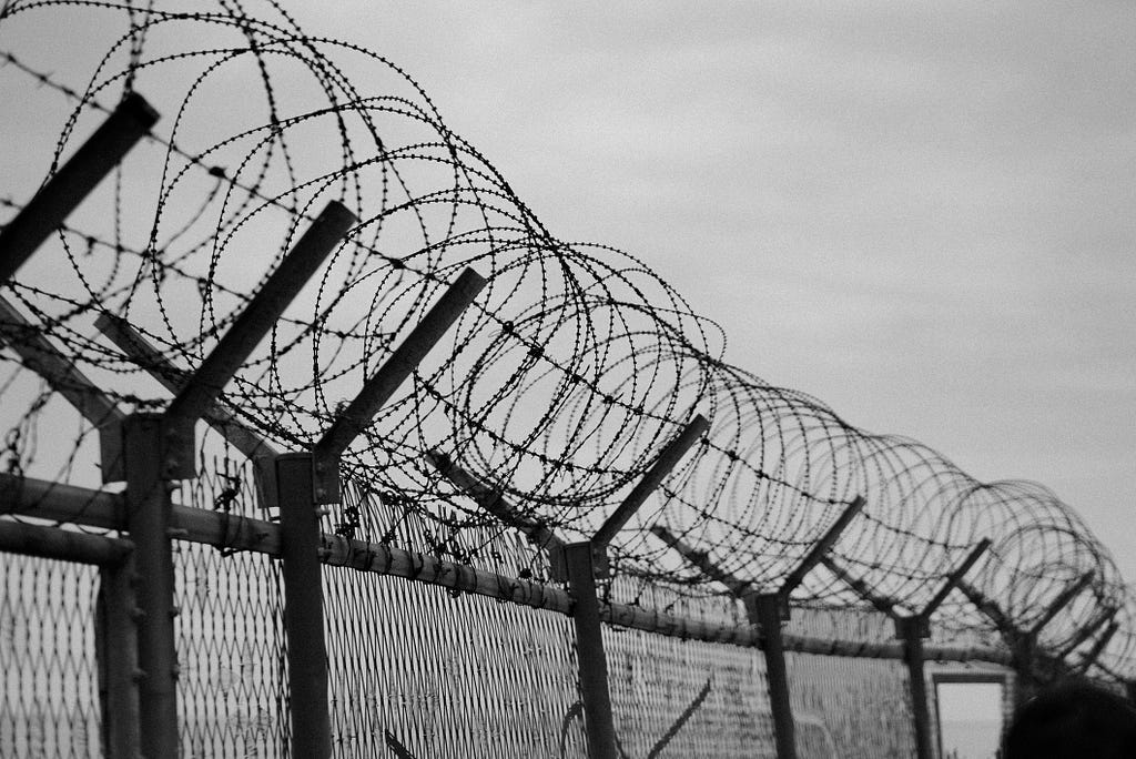An image of a barbed wire fence