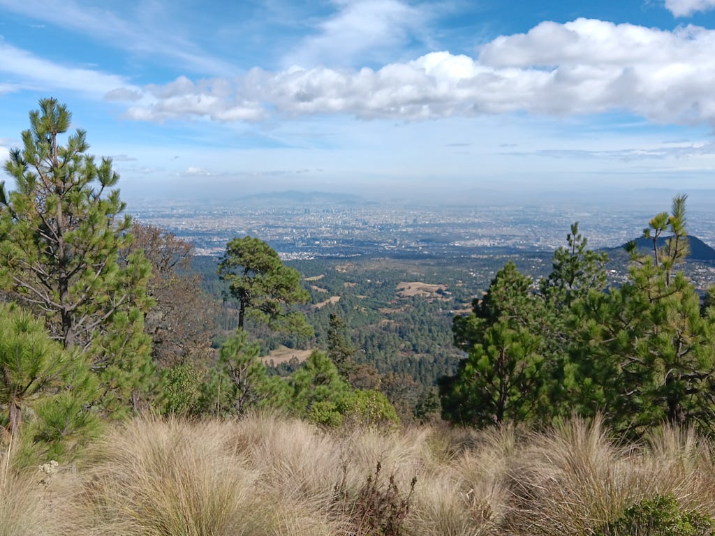 The view of the city on the way to the summit of Ajusco