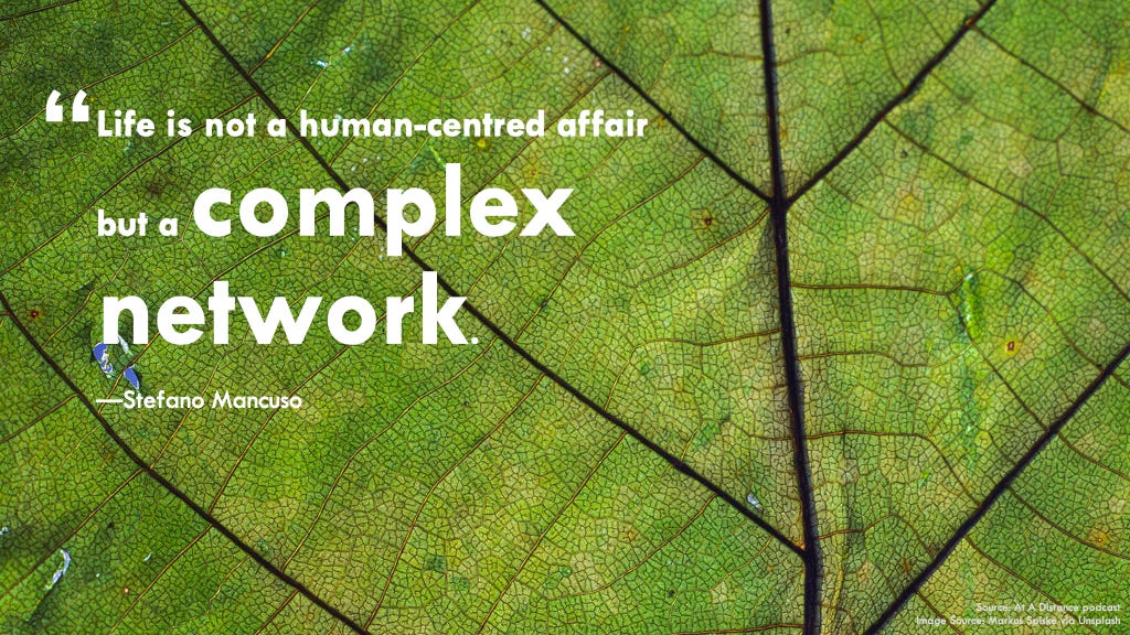 Close-up photo of a leaf, with the text overlay reading: Life is not a human-centred affair but a complex network — Stefano Mancuso.