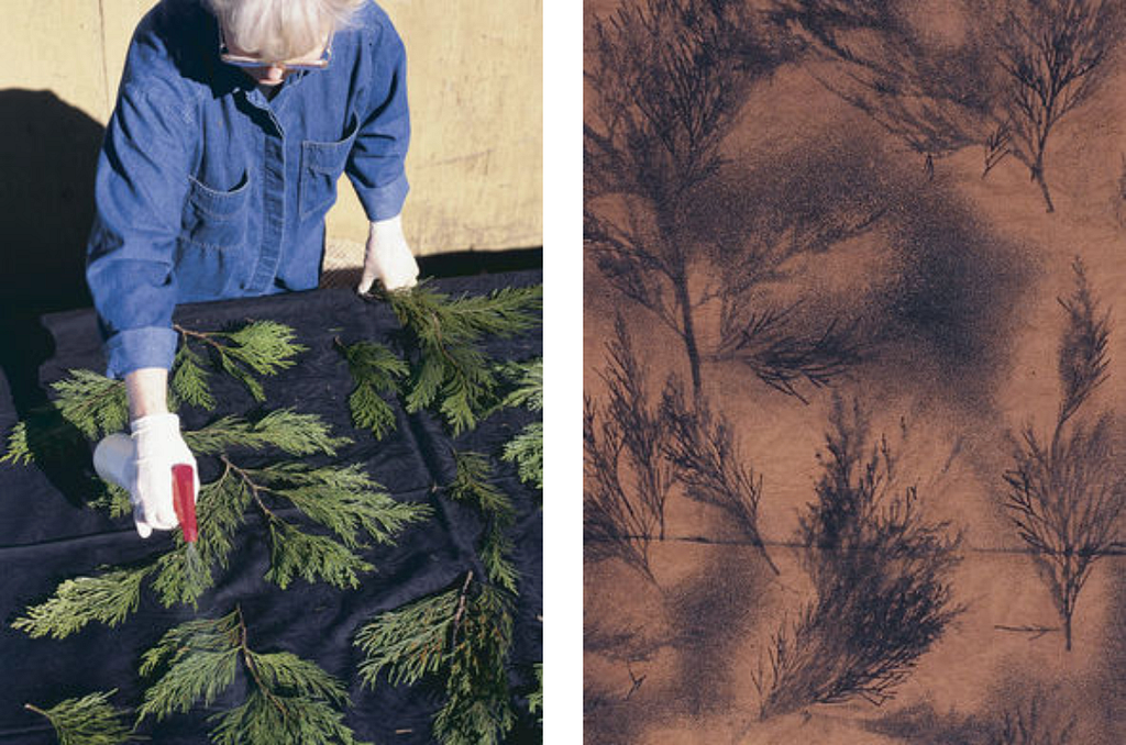 Person in blue denim and gloves sprays cedar branches on cloth; right shows a nature-inspired fabric print, evoking earthy, organic calm.