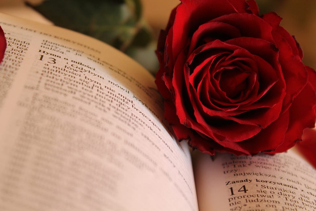 Ambiance of Love, Rose, Rose with Book, Red Rose with Book, Red Rose, Valentine Day, Valentine’s, Romantic, Love,