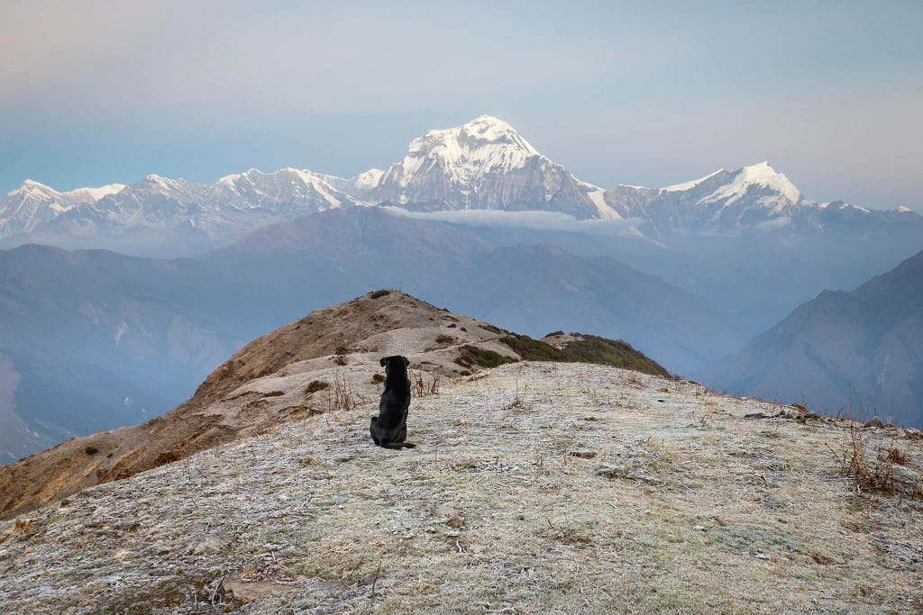 Khopra Danda Trek