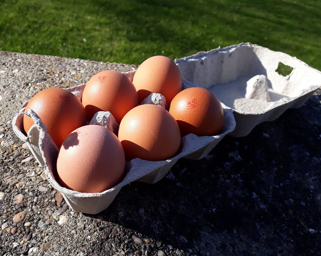 free range eggs from Redhill Farm