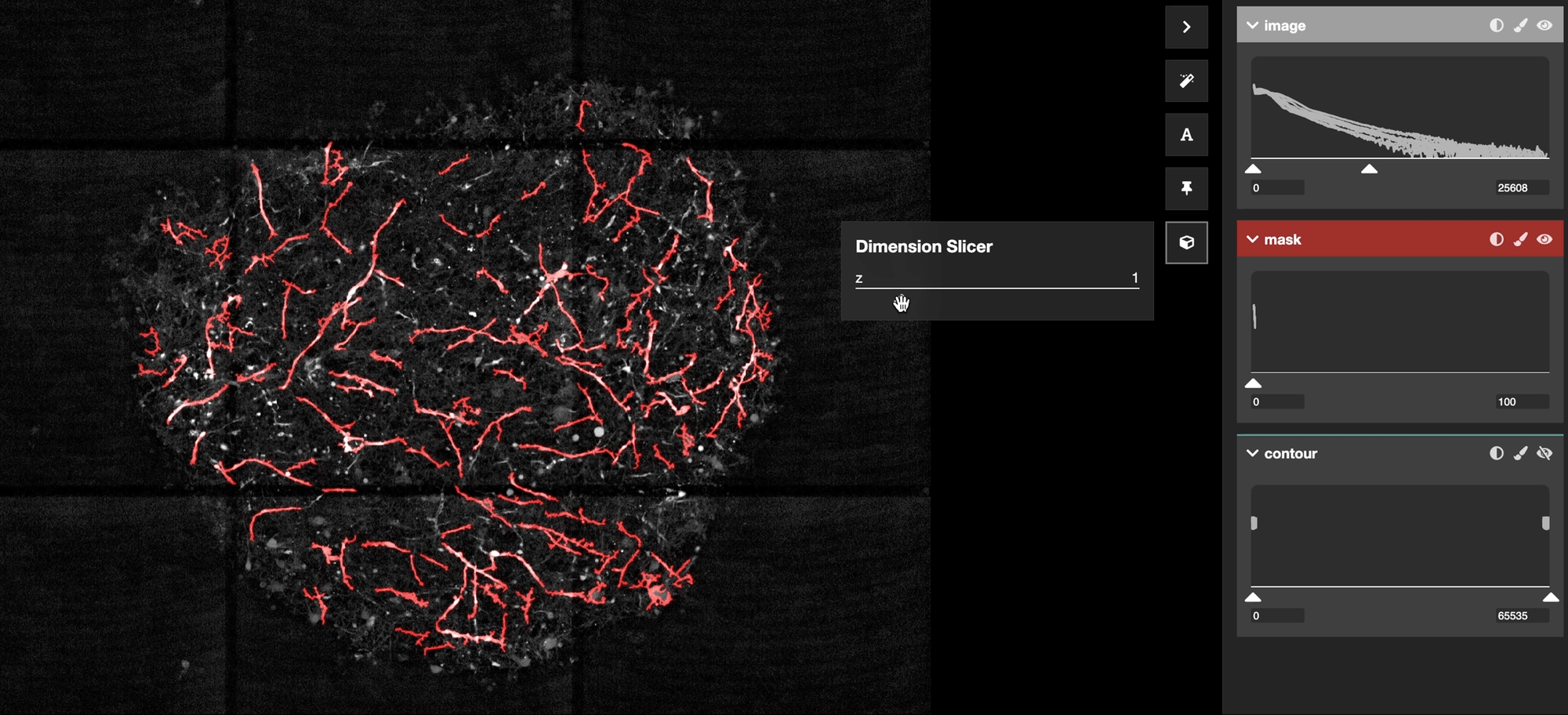 3D Neurites shown in Honeydew