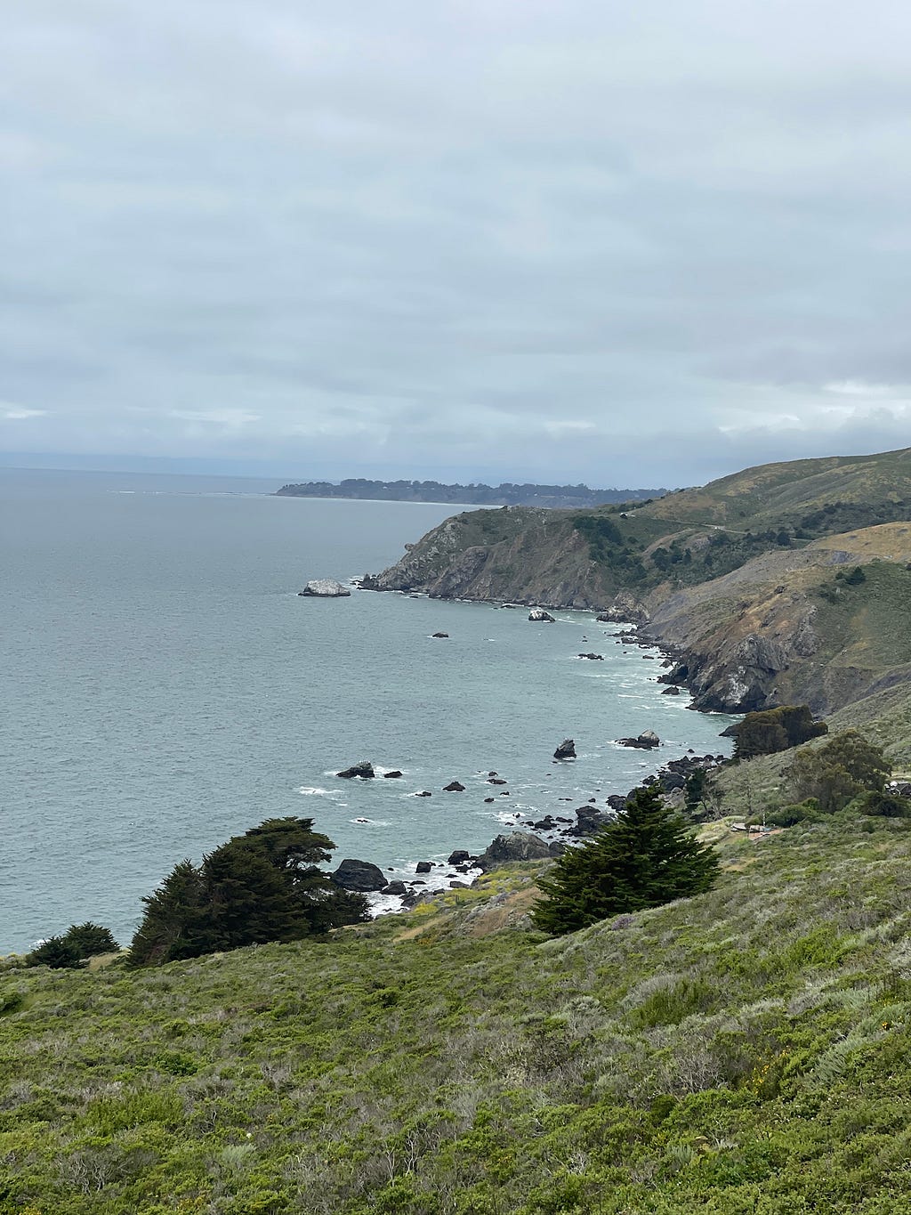 Pacific Ocean views, while driving on Highway 1