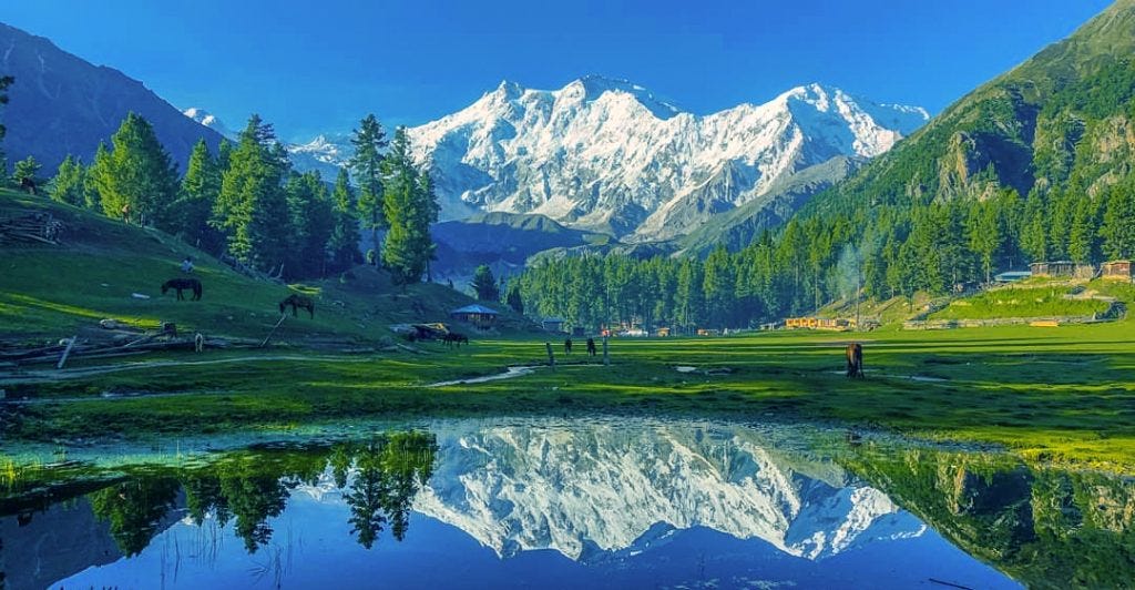 Northern Area of Pakistan | Fairy meadows in front of the Ninth highest peak in the world.