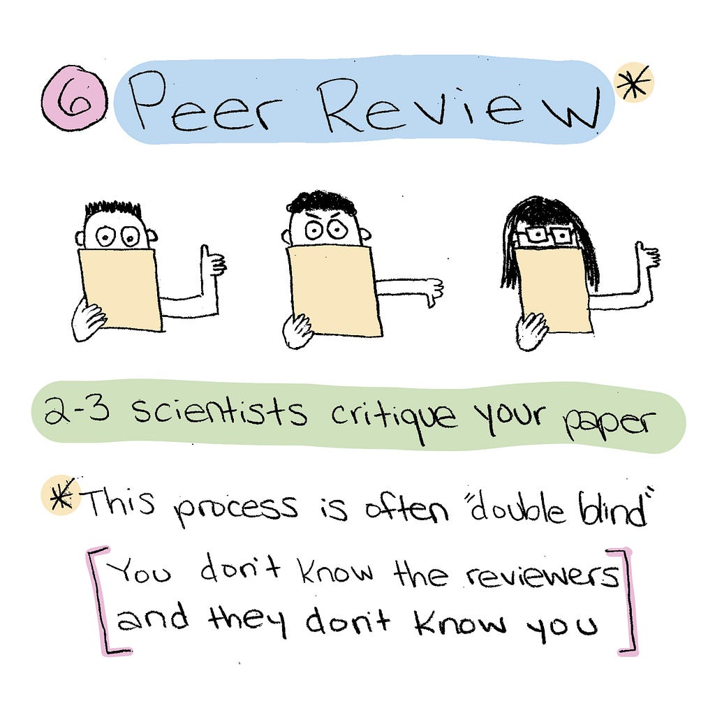 Step 6: Peer review. 2–3 scientists critique your paper.