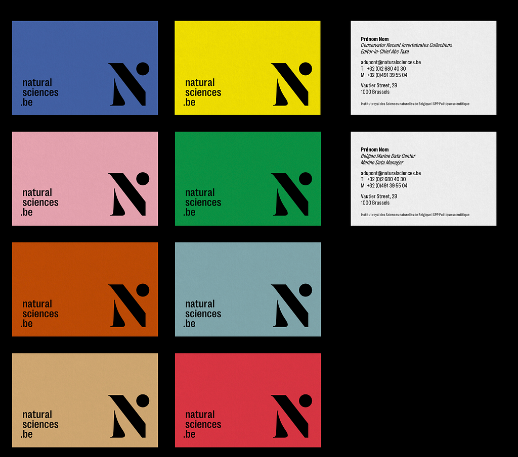 Various colored squares each showcasing the Institute of Natural Sciences’ logo in contrasting colors, alongside sample business cards with contact information, exemplifying the institute’s vibrant and modern graphic design standards