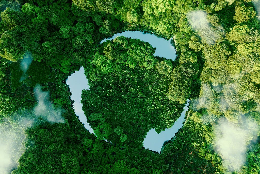 Sustainability as a core value