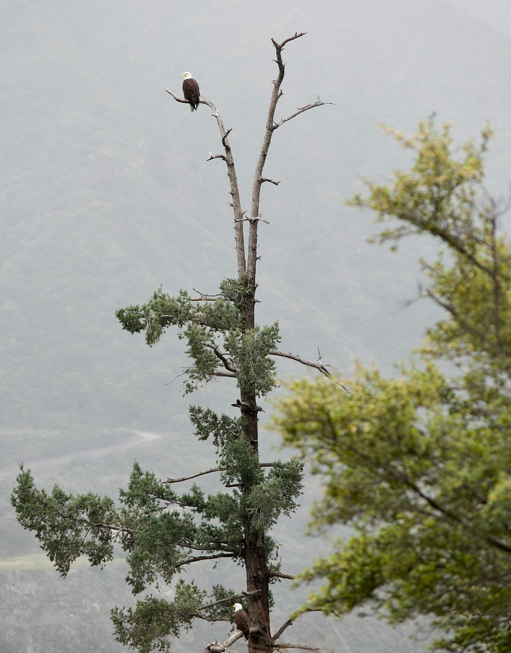 Mom and dad surveying the San Gabriels