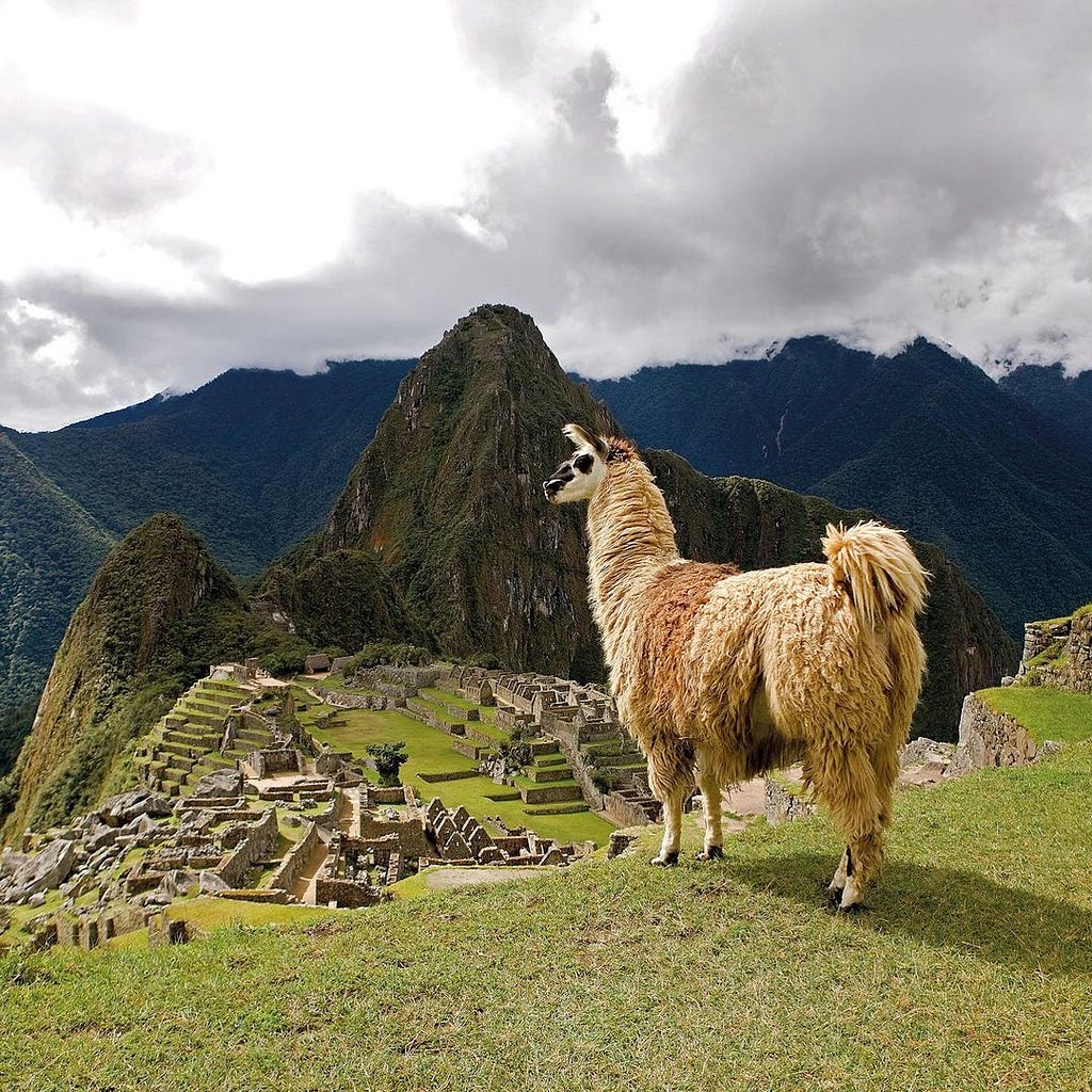 Machu Picchu From Lima