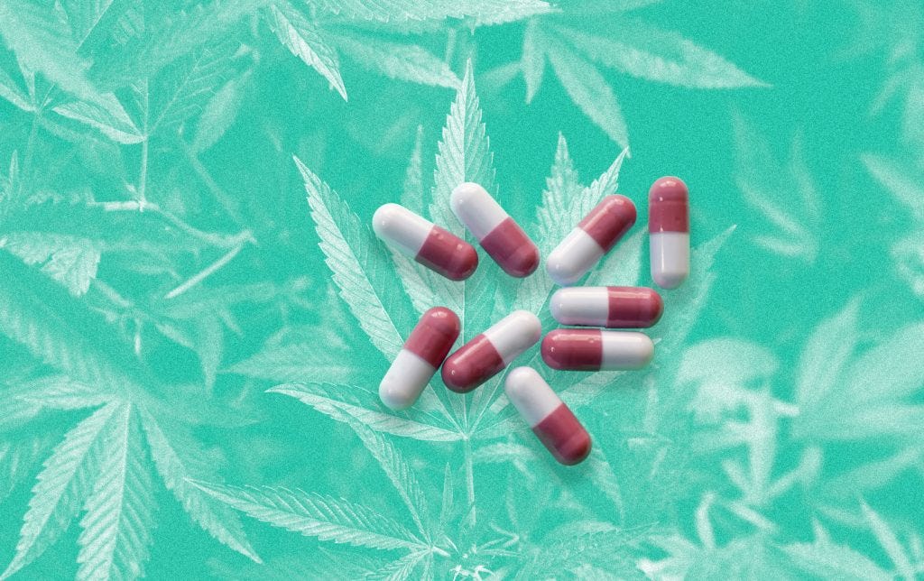 Pills vs. Pot — replacing opioids with cannabis.