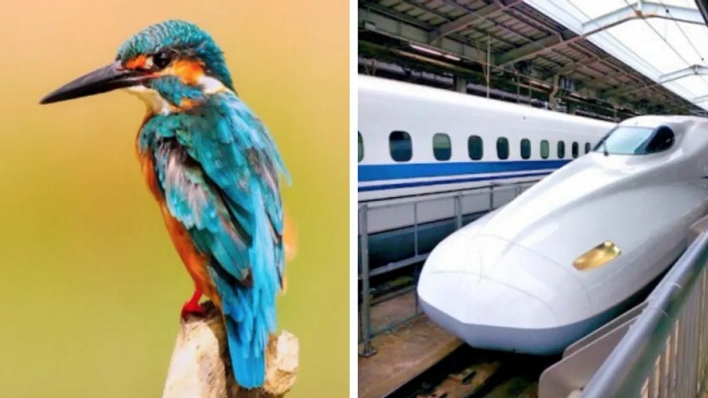 2 image collage of a kingfisher & Bullet train