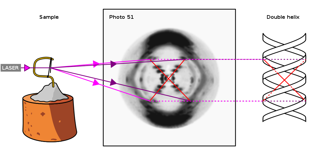 Experimental setup of Photo 51