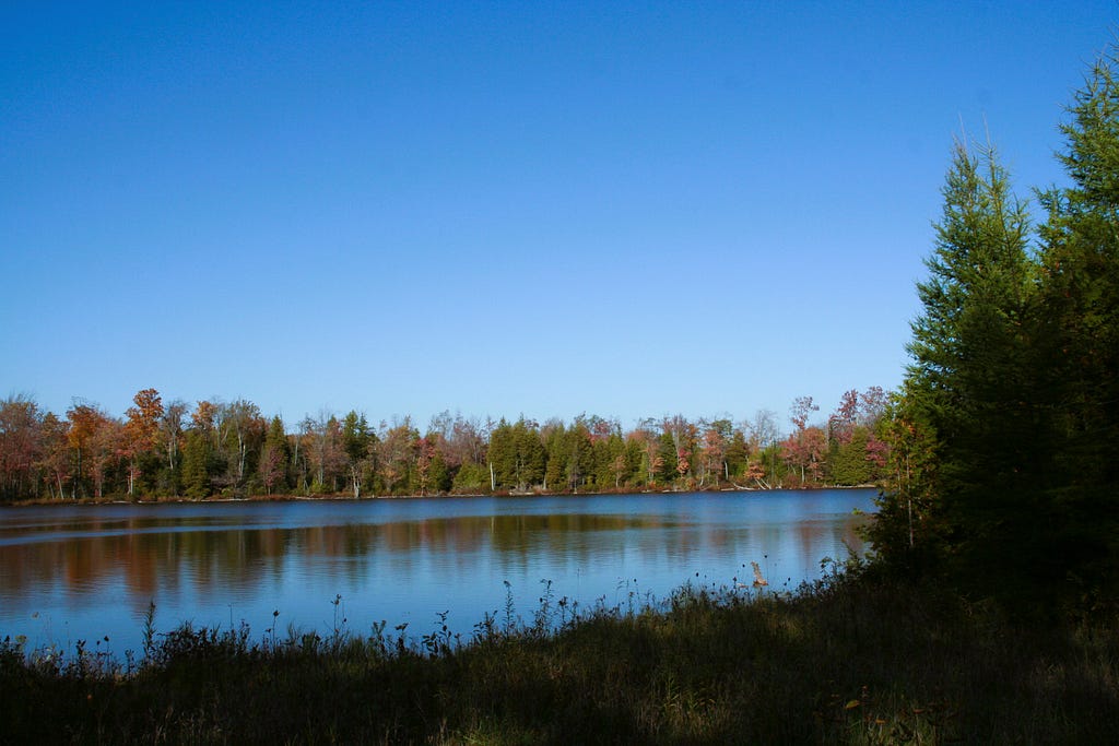 This one-of-a-kind opportunity is an escape under 2 hours from Toronto in the picturesque county of West Grey, Ontario. 54-acre exclusive property with an estimated 25-acre private lake.