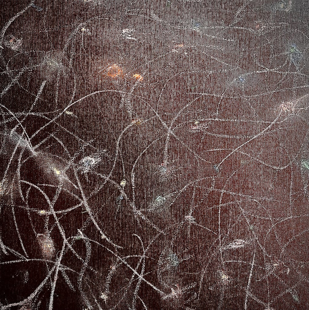 This is a photo of artwork that has a black canvas background with white strings connecting with each other and connecting with small roundish dull colors.