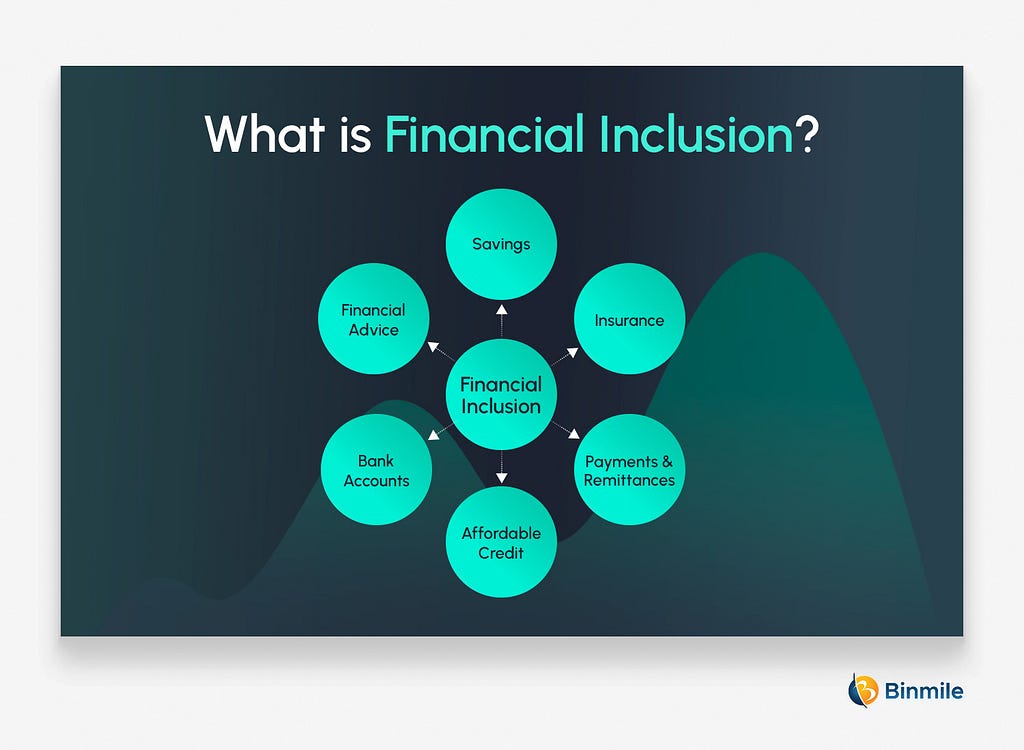 What is Financial Inclusion? | Binmile