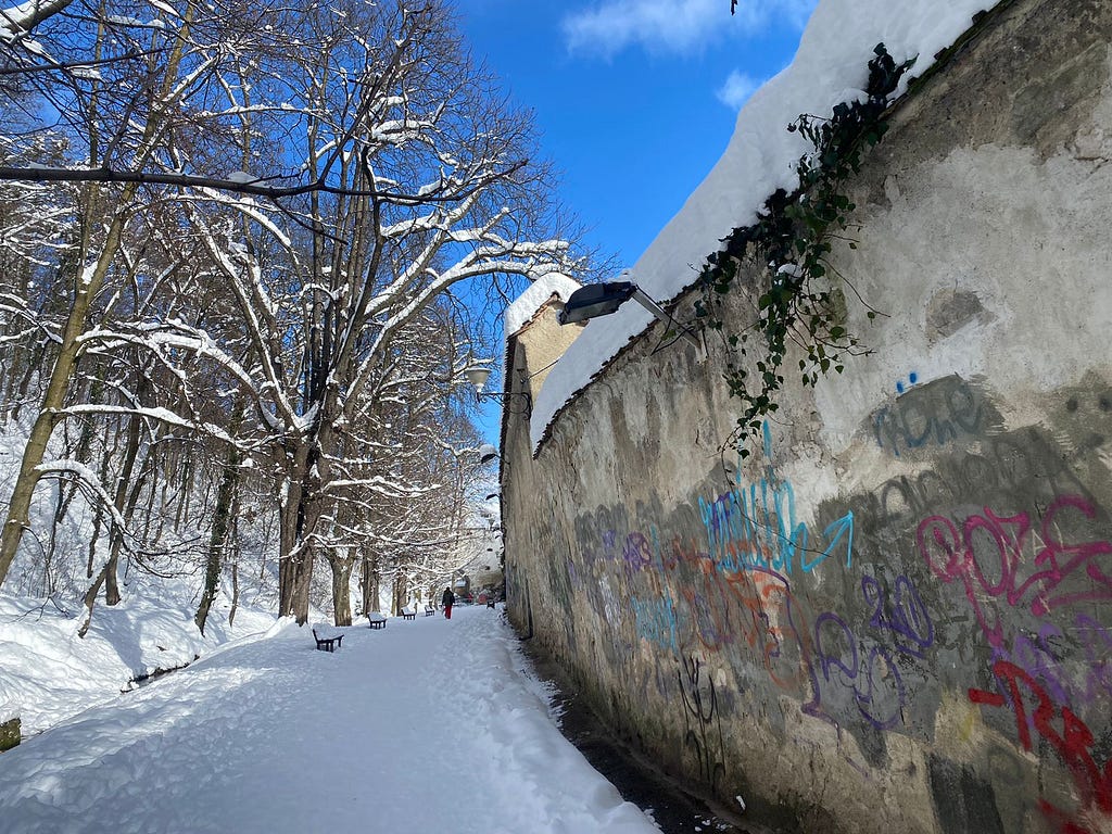 “Behind the walls” Alley