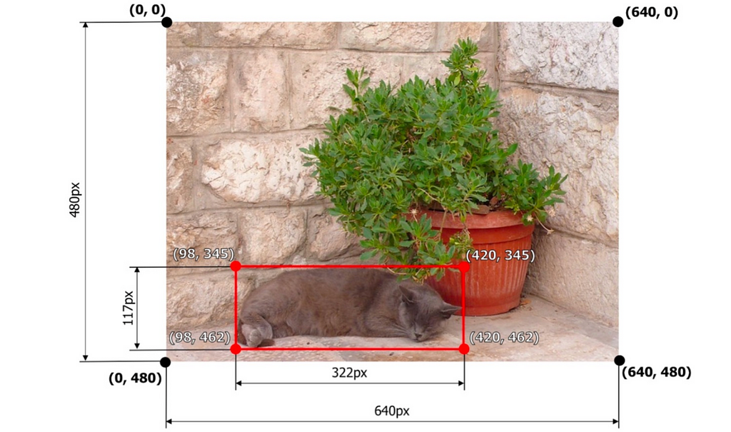An image of a cat sleeping in a stone corner next to a green plant with annotation formats from COCO, Pascal VOC, Albumentations, and YOLO plotted on top for comparison.