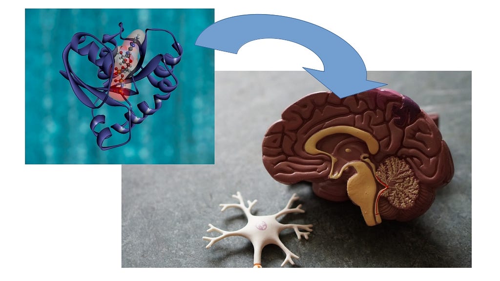 Quantum Landscape for Protein Folding LaptrinhX