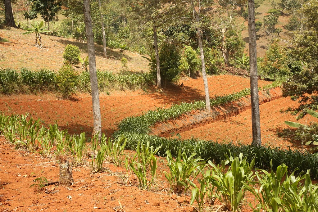 Agricultural landscape in Tanzania