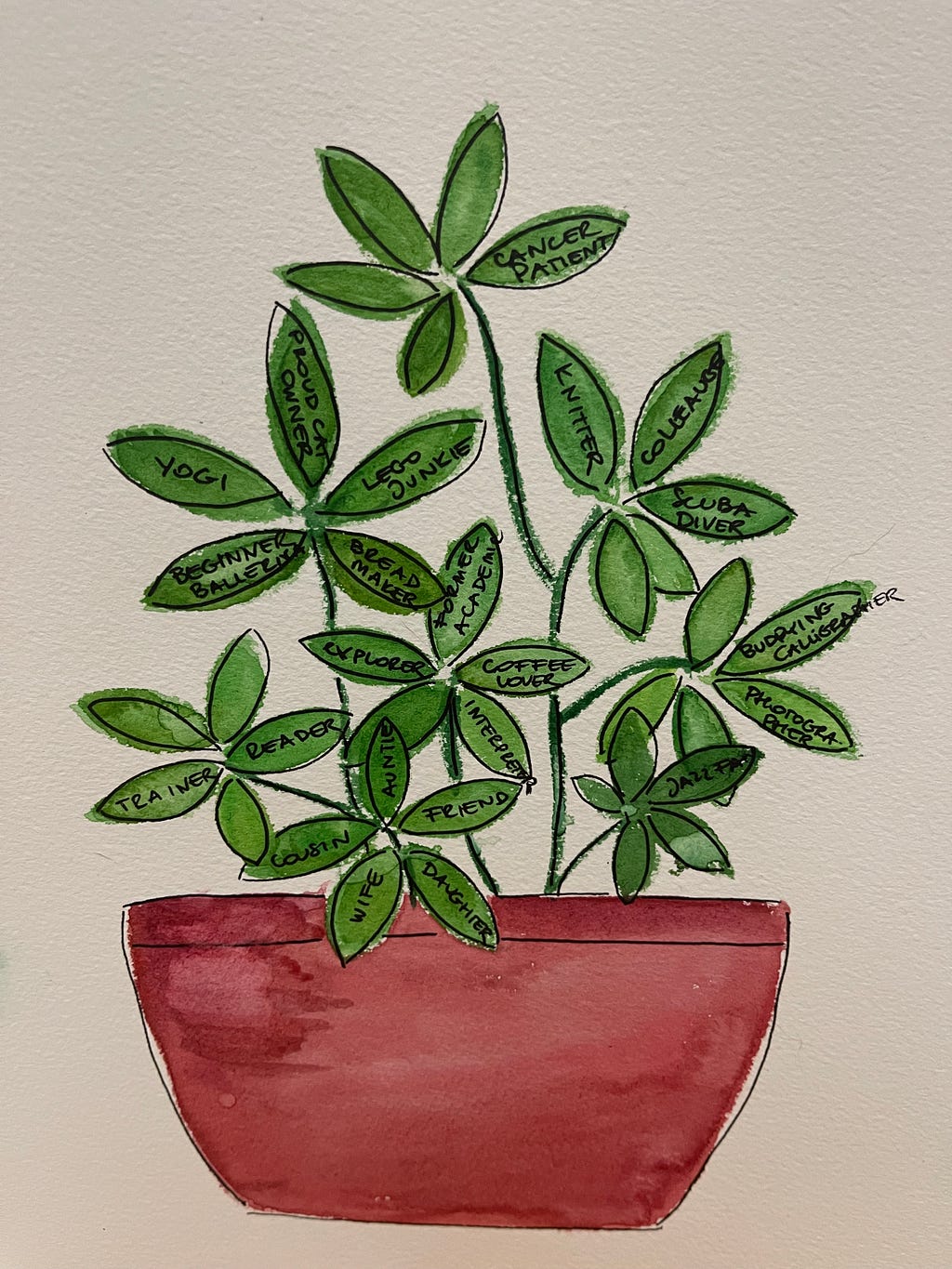 an watercolor painting of a plant with different roles written on the leaves