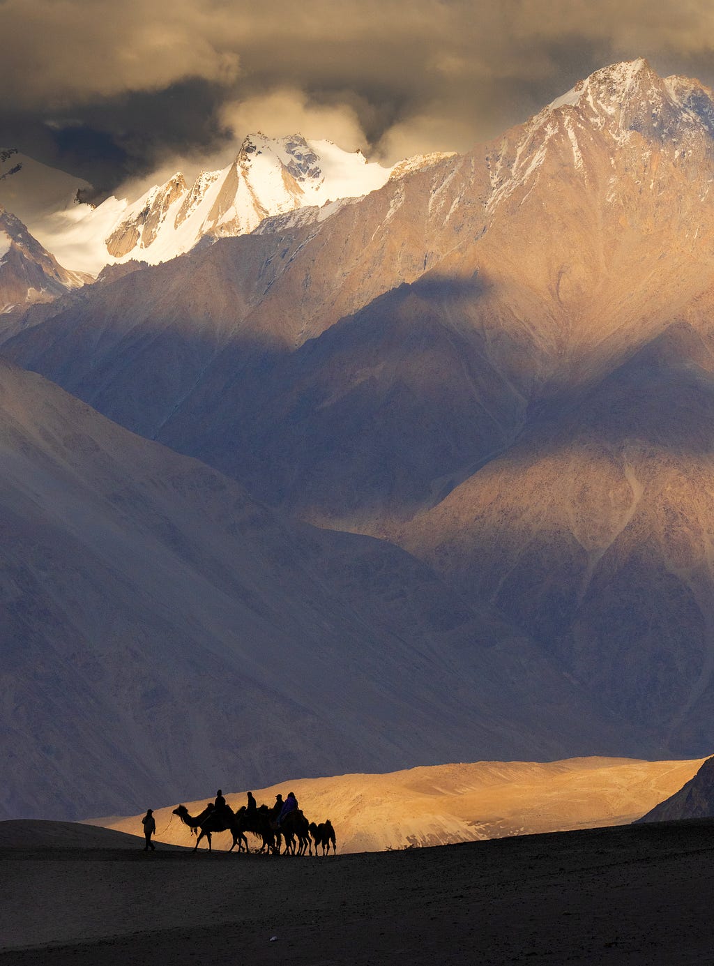 Hunder Dunes: Silhouettes of Double-Humped Camels at Sunset