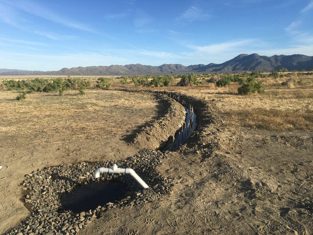The irrigation pipe lets water out into a circular ditch of willow tree plantings (about 1/4 of it is seen in the frame). The Granite Range mountains can be seen in the background.