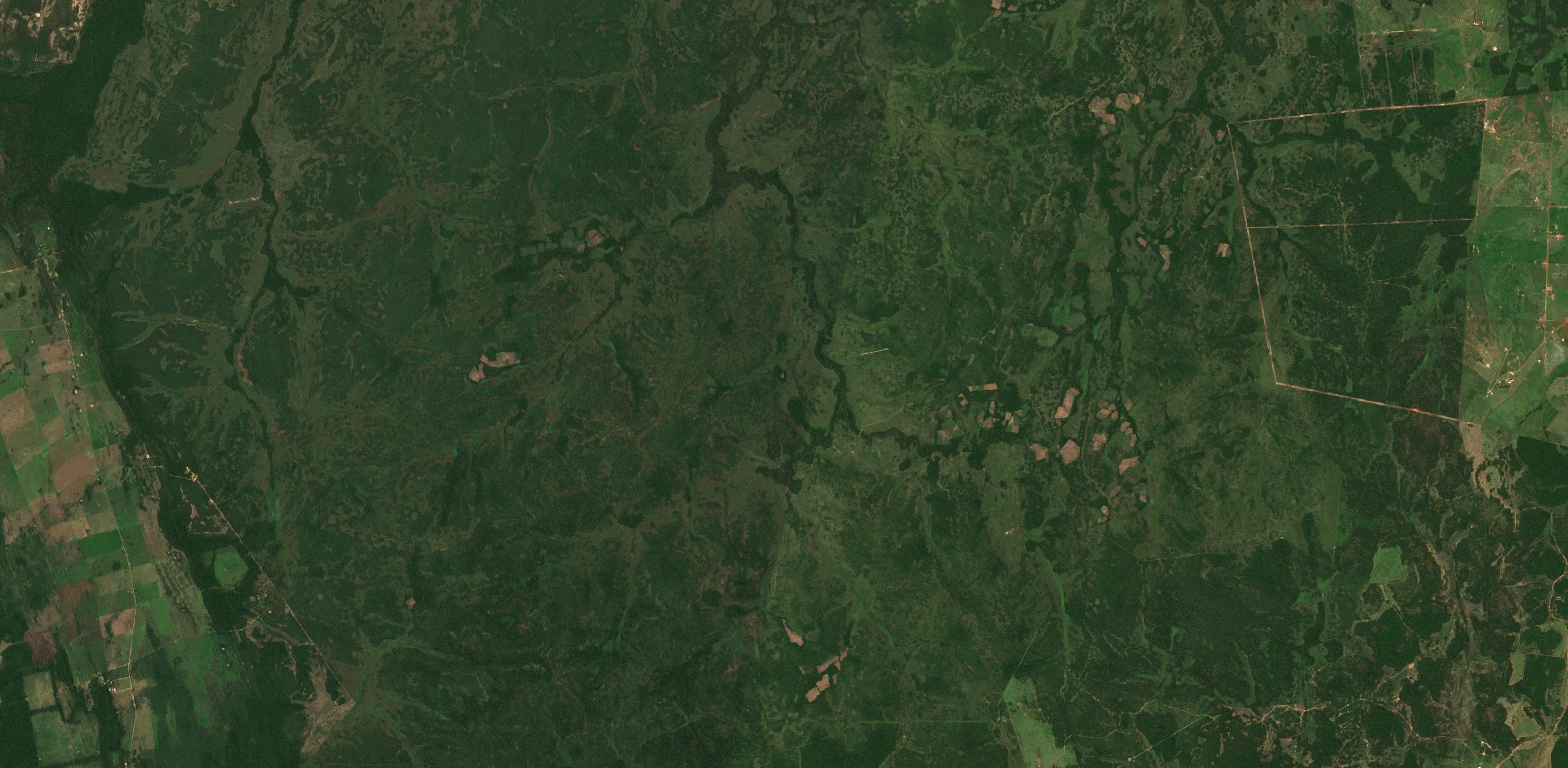 Animated before/after normalisation of a satellite image of the Amazon rainforest