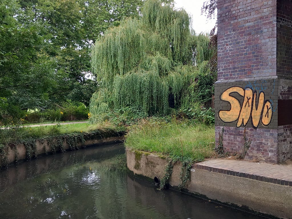 A river flowing through a city park alongside a brick wall with graffiti on one side and a willow in the background.