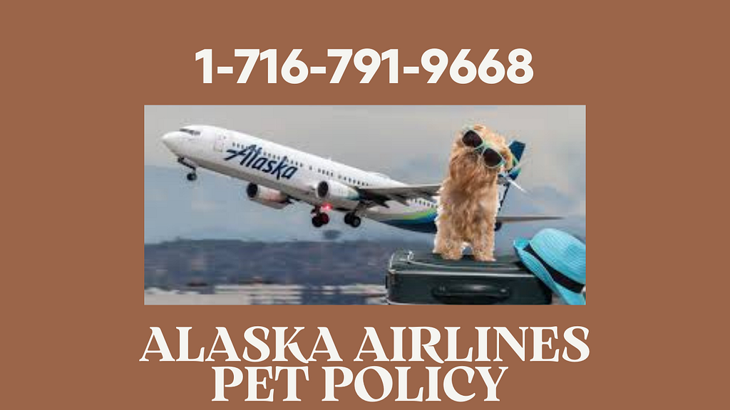 Alaska airlines pet policy