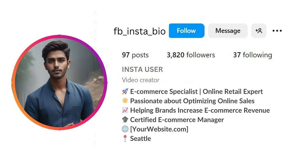 Professional Bio for Instagram for Boy is visible in this image.