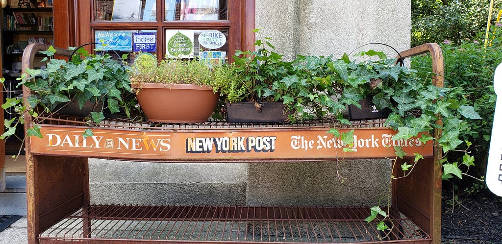 Potted plants sit atop an empty newspaper rack.